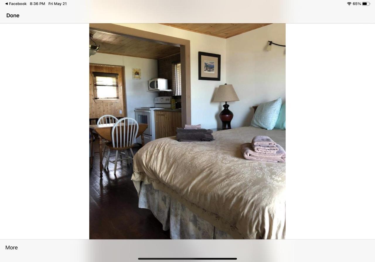 Bird Island B&B Bed And Bubble Elliston Exterior foto