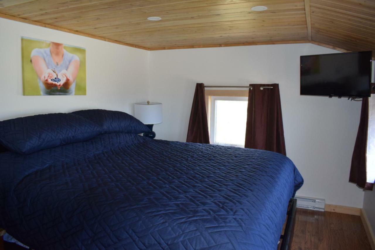 Bird Island B&B Bed And Bubble Elliston Exterior foto
