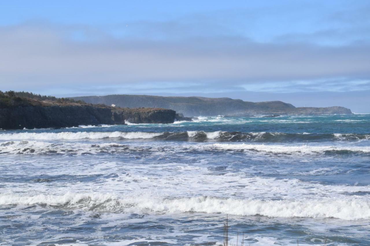 Bird Island B&B Bed And Bubble Elliston Exterior foto